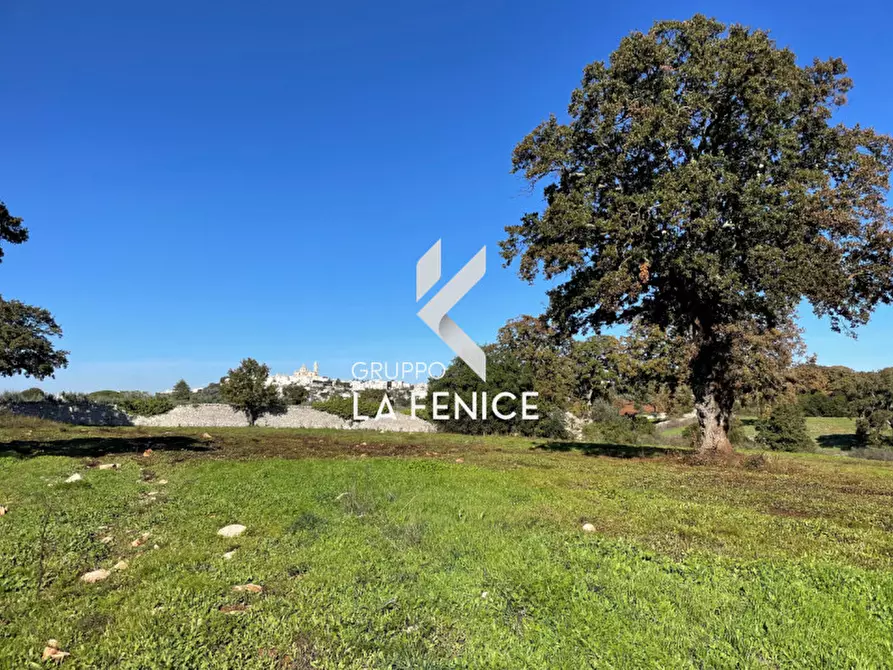 Immagine 2 di Terreno in vendita  in CONTRADA GROFOLEO a Locorotondo