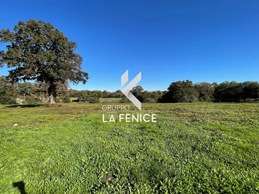 Immagine 3 di Terreno in vendita  in CONTRADA GROFOLEO a Locorotondo