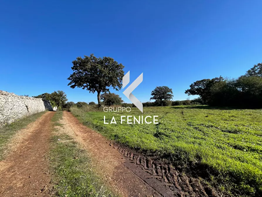 Immagine 4 di Terreno in vendita  in CONTRADA GROFOLEO a Locorotondo