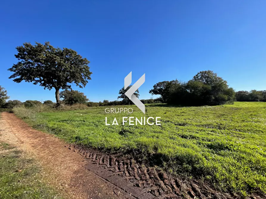 Immagine 5 di Terreno in vendita  in CONTRADA GROFOLEO a Locorotondo