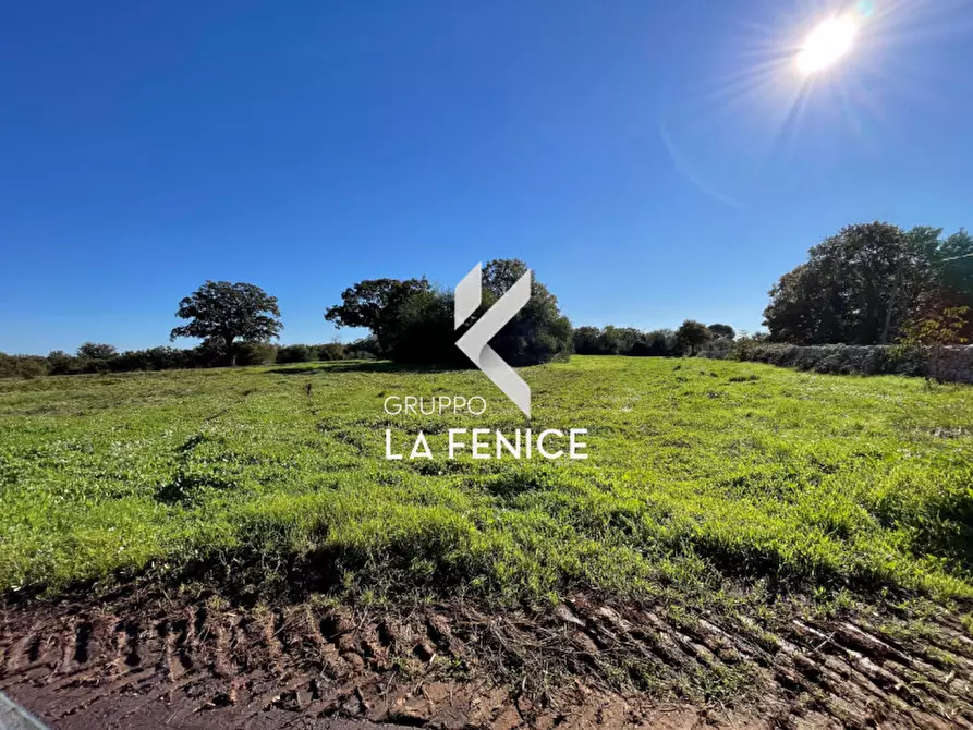 Immagine 6 di Terreno in vendita  in CONTRADA GROFOLEO a Locorotondo
