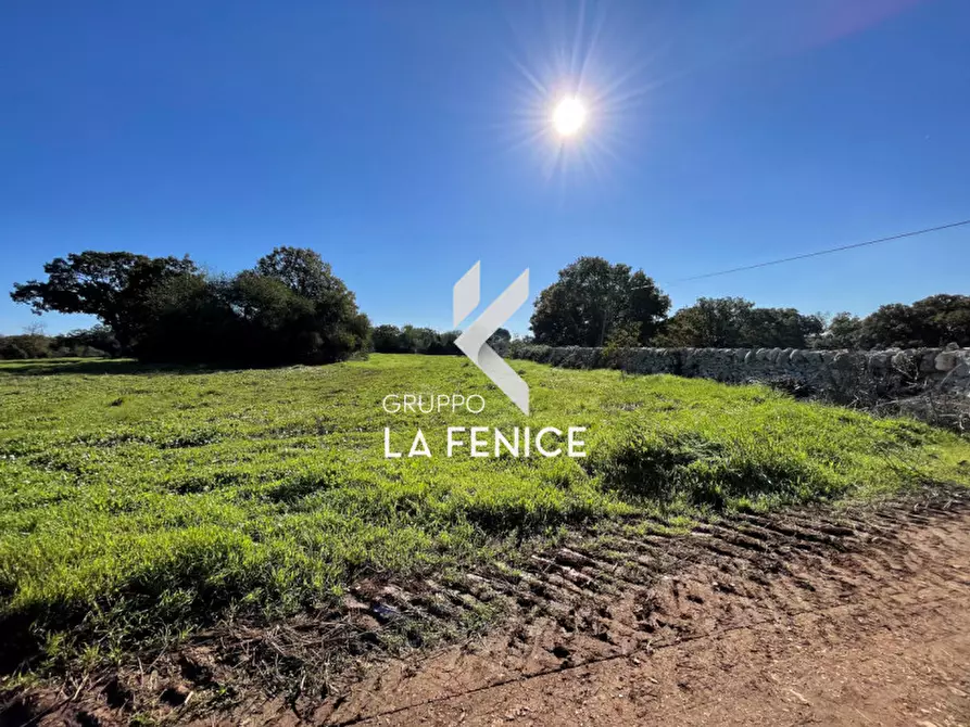 Immagine 7 di Terreno in vendita  in CONTRADA GROFOLEO a Locorotondo