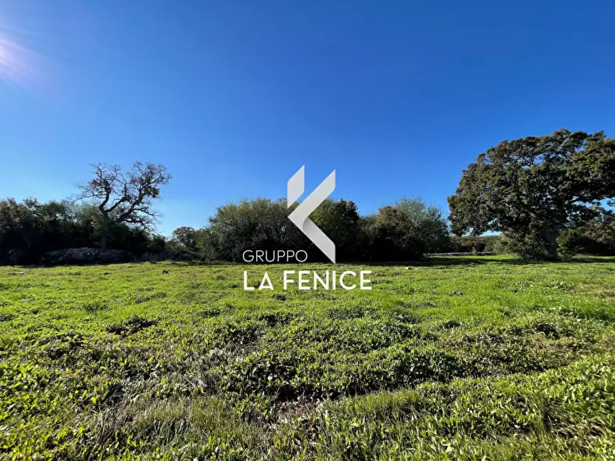 Immagine 8 di Terreno in vendita  in CONTRADA GROFOLEO a Locorotondo