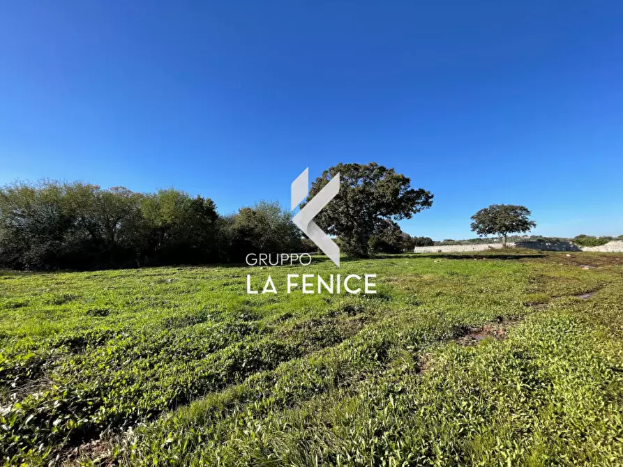 Immagine 9 di Terreno in vendita  in CONTRADA GROFOLEO a Locorotondo