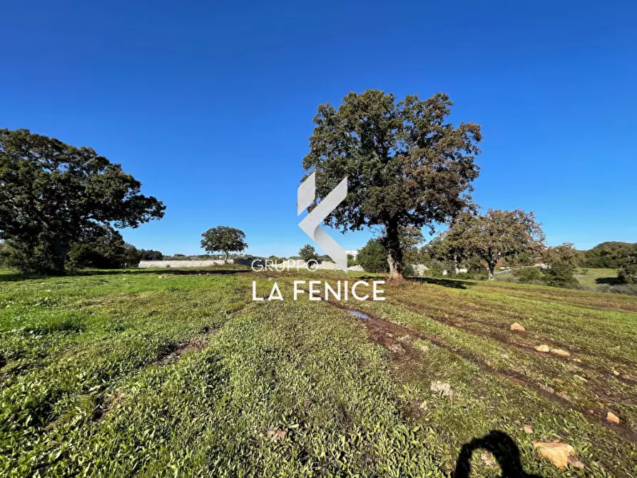 Immagine 10 di Terreno in vendita  in CONTRADA GROFOLEO a Locorotondo