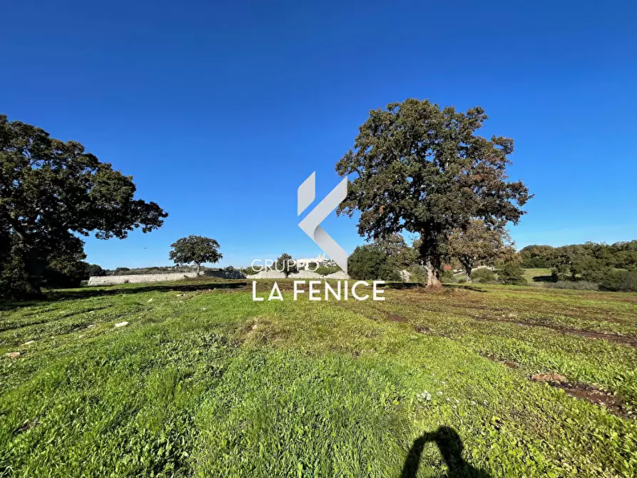 Immagine 11 di Terreno in vendita  in CONTRADA GROFOLEO a Locorotondo