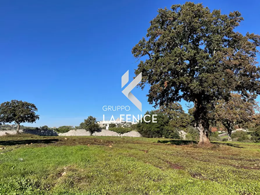 Immagine 12 di Terreno in vendita  in CONTRADA GROFOLEO a Locorotondo