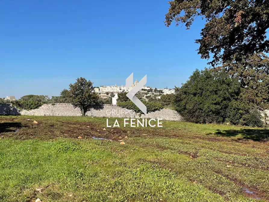 Immagine 13 di Terreno in vendita  in CONTRADA GROFOLEO a Locorotondo