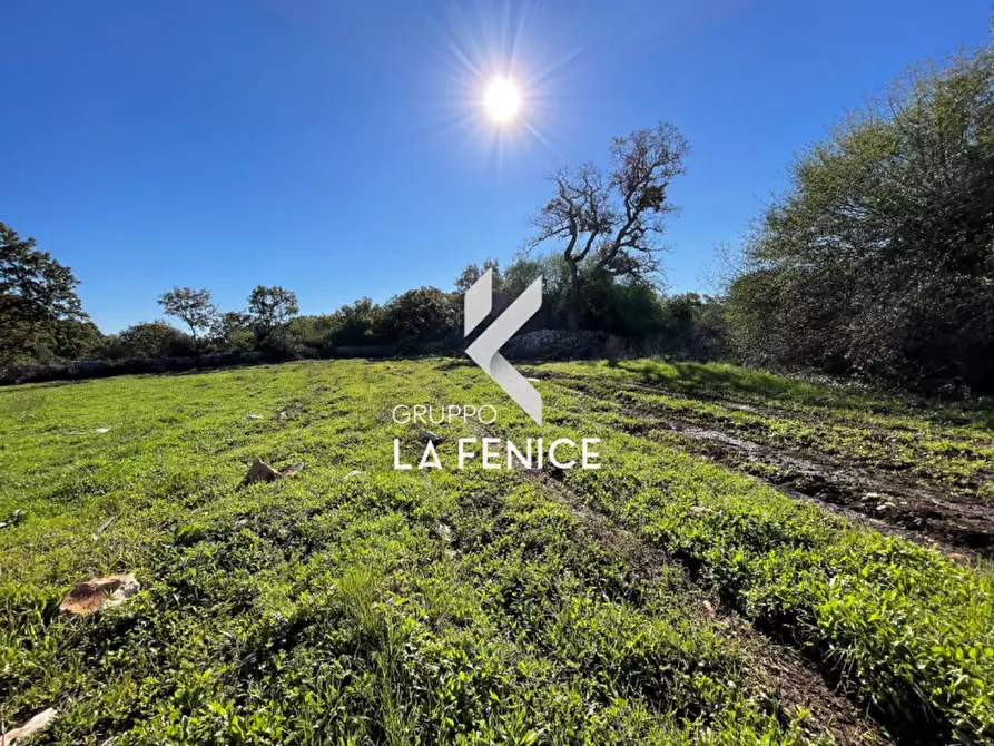 Immagine 14 di Terreno in vendita  in CONTRADA GROFOLEO a Locorotondo