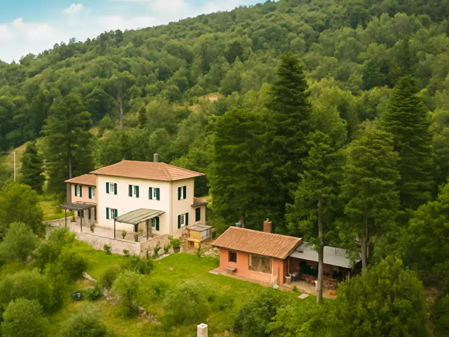 Immagine 2 di Rustico / casale in vendita  a San Giuliano Terme