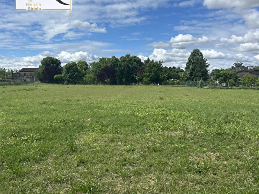 Immagine 2 di Rustico / casale in vendita  a Masi