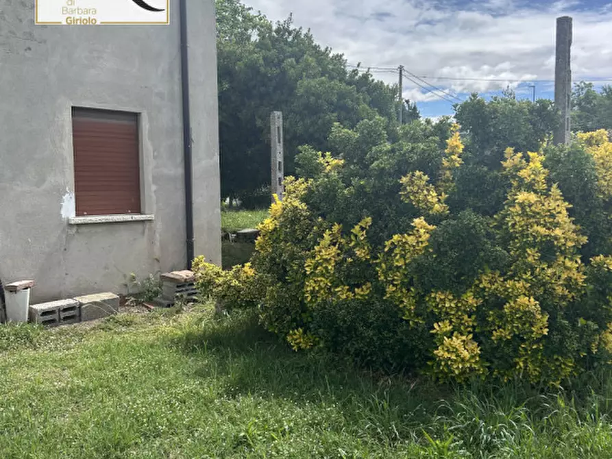 Immagine 5 di Rustico / casale in vendita  a Masi