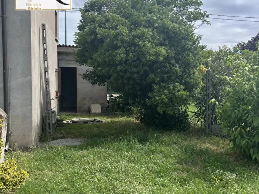 Immagine 6 di Rustico / casale in vendita  a Masi