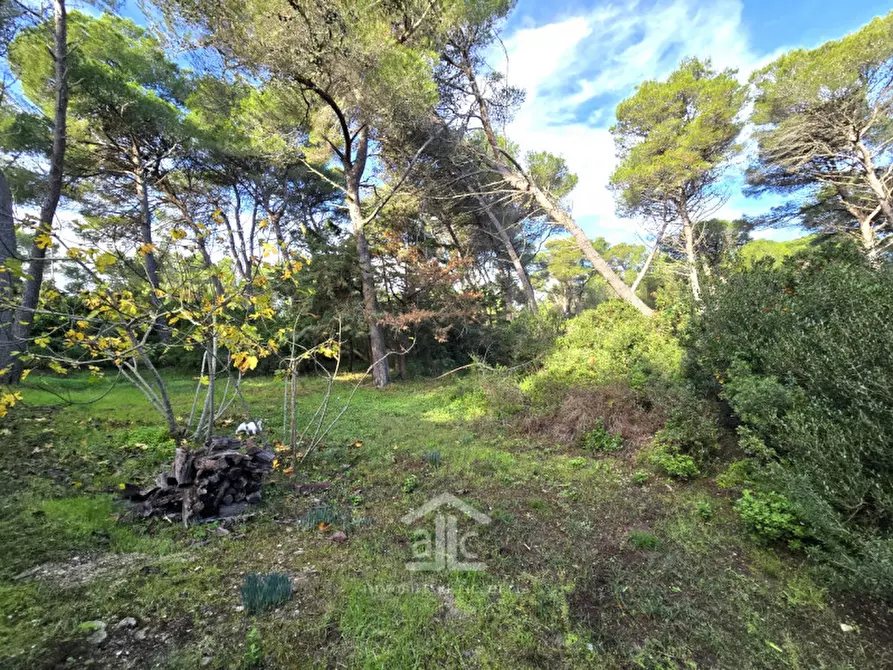 Immagine 6 di Villa in vendita  in Strada Provinciale S. Cataldo, 73029 Vernole LE a Vernole