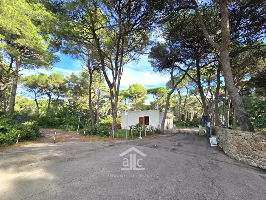 Immagine 35 di Villa in vendita  in Strada Provinciale S. Cataldo, 73029 Vernole LE a Lecce