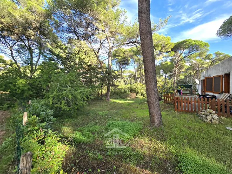 Immagine 37 di Villa in vendita  in Strada Provinciale S. Cataldo, 73029 Vernole LE a Lecce