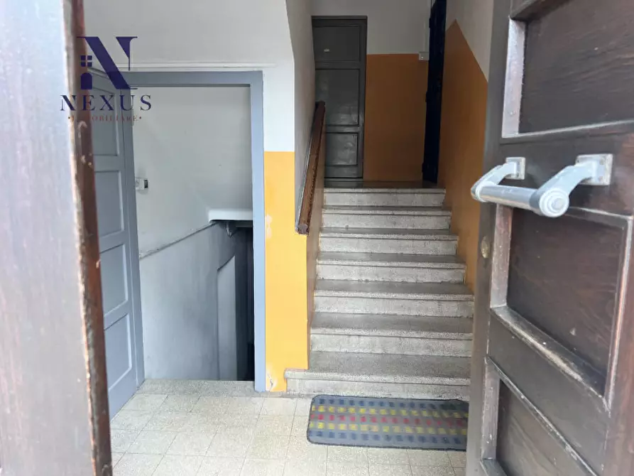 Immagine 3 di Appartamento in vendita  a Monte Porzio