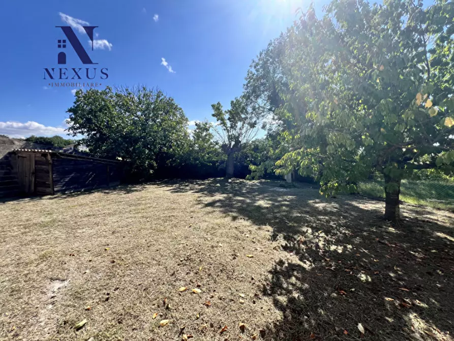 Immagine 4 di Casa bifamiliare in vendita  a Montefelcino