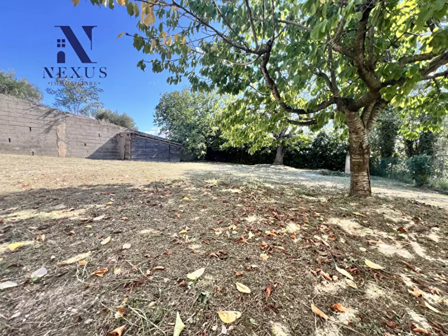 Immagine 5 di Casa bifamiliare in vendita  a Montefelcino