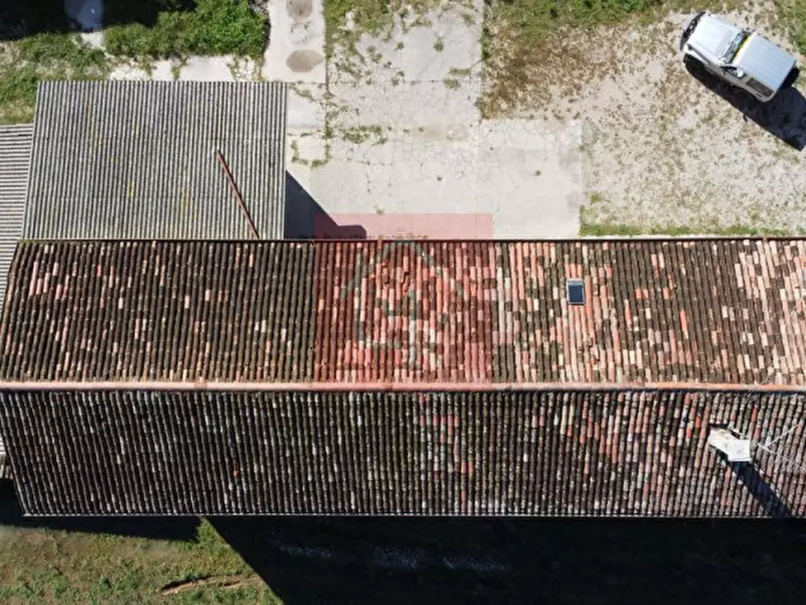 Immagine 13 di Casa indipendente in vendita  in Viale San Marco 17 a Palmanova