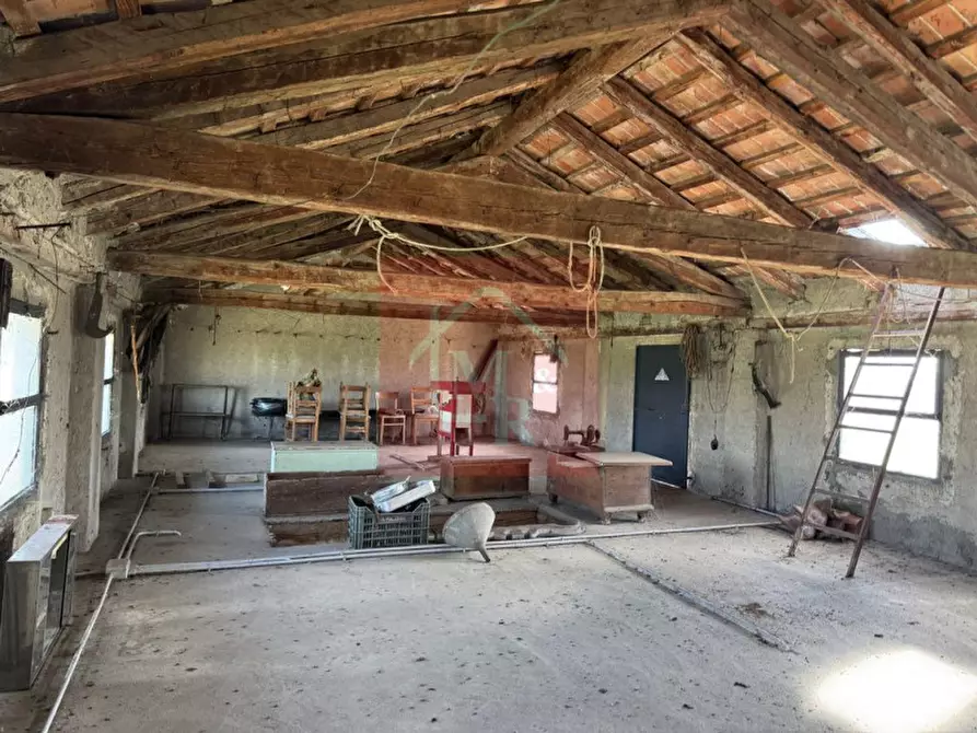 Immagine 63 di Casa indipendente in vendita  in Viale San Marco 17 a Palmanova