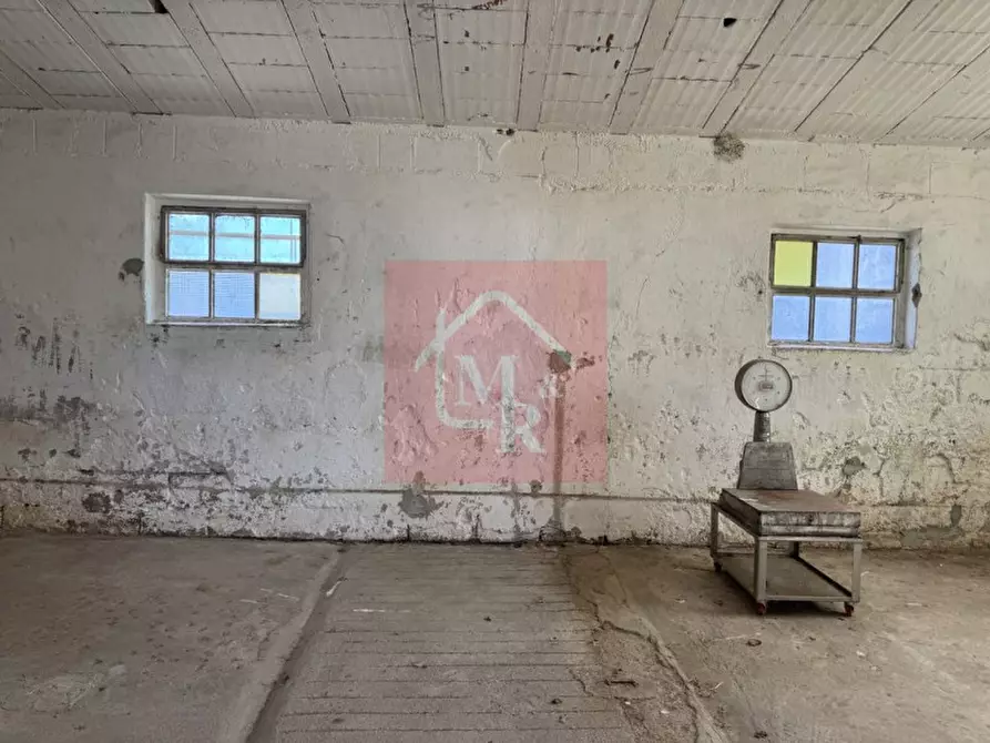 Immagine 73 di Casa indipendente in vendita  in Viale San Marco 17 a Palmanova