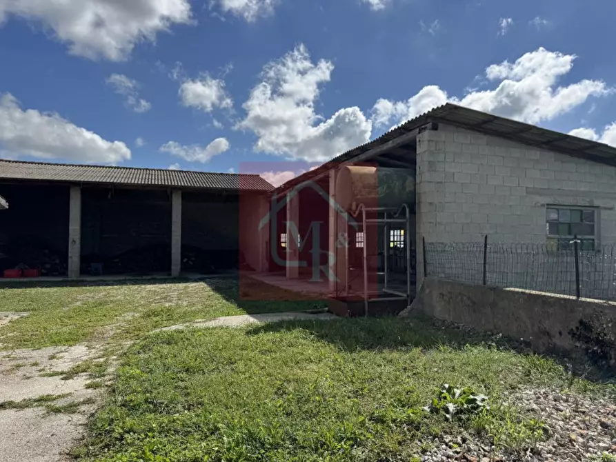 Immagine 75 di Casa indipendente in vendita  in Viale San Marco 17 a Palmanova