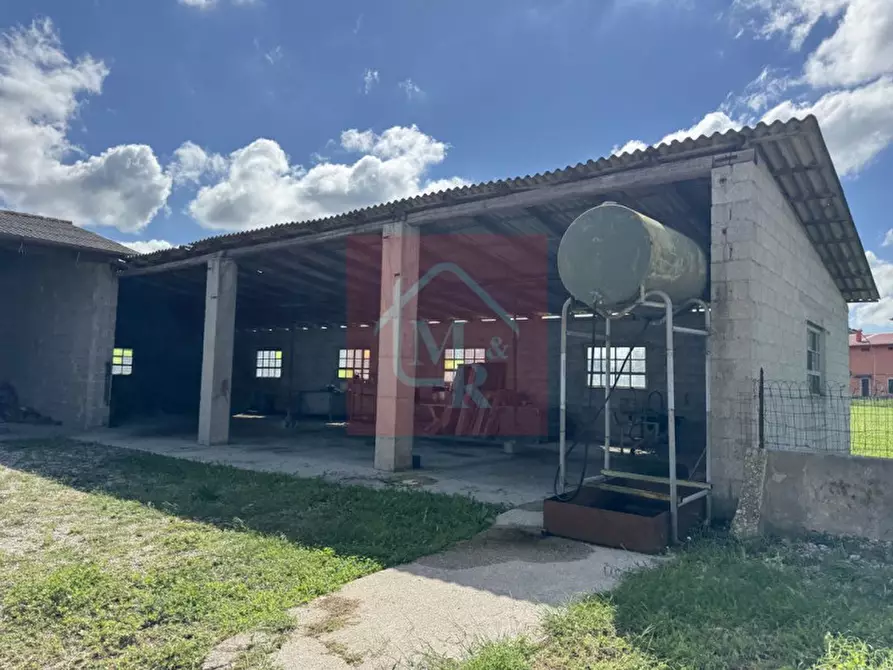 Immagine 76 di Casa indipendente in vendita  in Viale San Marco 17 a Palmanova