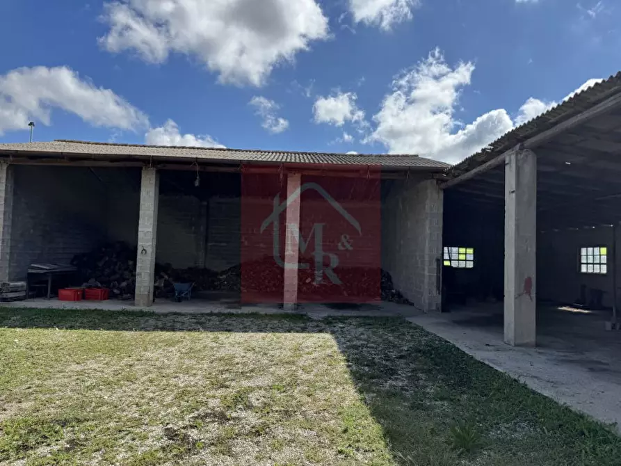 Immagine 77 di Casa indipendente in vendita  in Viale San Marco 17 a Palmanova