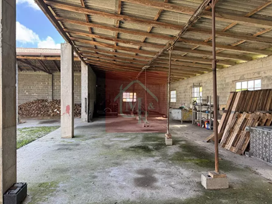 Immagine 79 di Casa indipendente in vendita  in Viale San Marco 17 a Palmanova