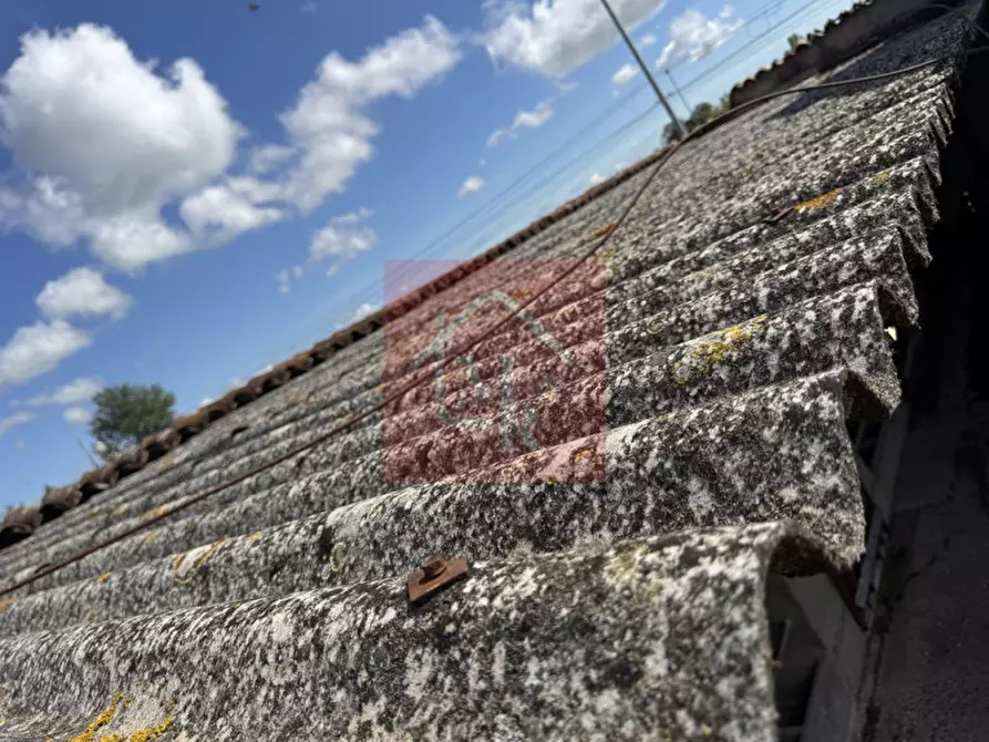Immagine 84 di Casa indipendente in vendita  in Viale San Marco 17 a Palmanova