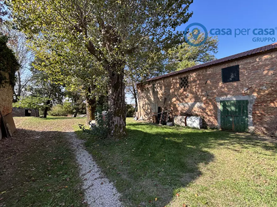 Immagine 13 di Casa indipendente in vendita  a Ceregnano