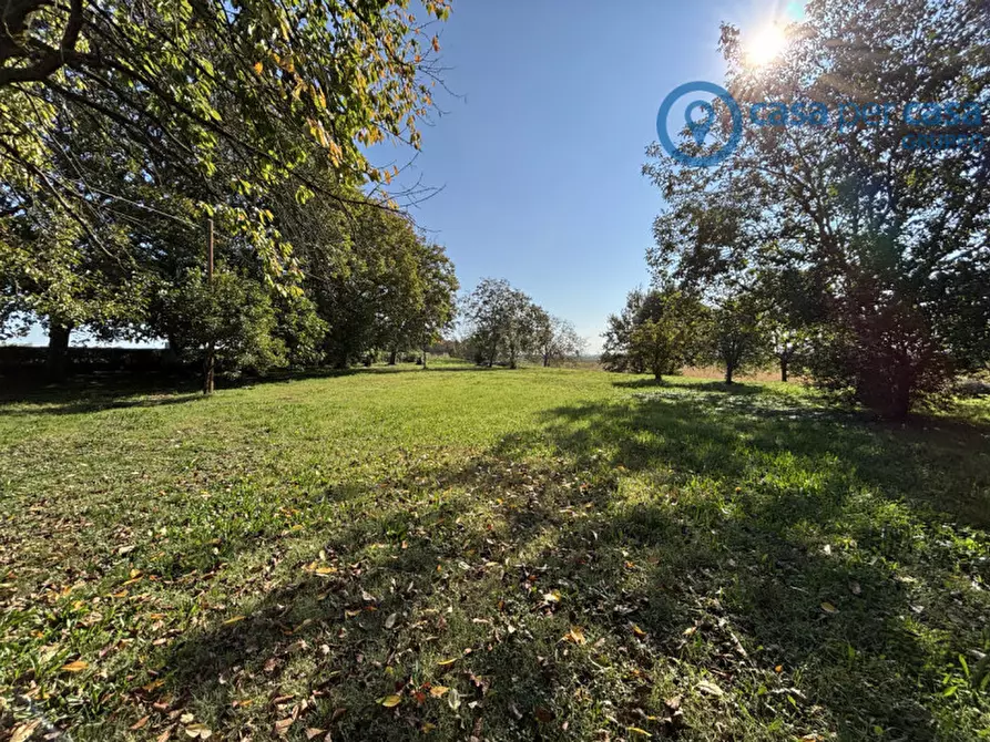 Immagine 15 di Casa indipendente in vendita  a Ceregnano