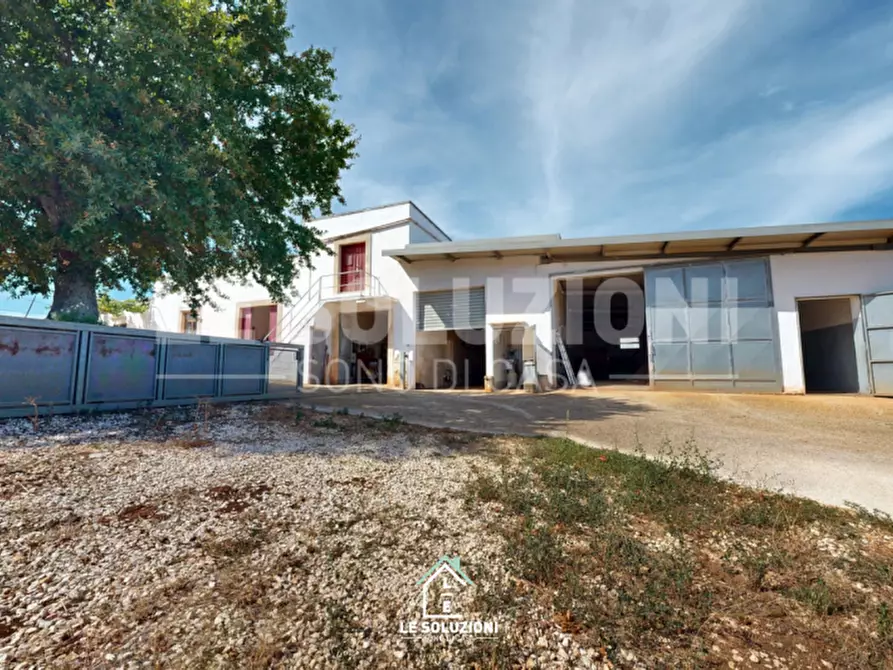 Immagine 2 di Villa in vendita  in CONTRADA MINOIA CASTELLANA TURI 1 a Conversano