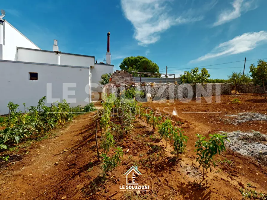 Immagine 32 di Villa in vendita  in CONTRADA MINOIA CASTELLANA TURI 1 a Conversano