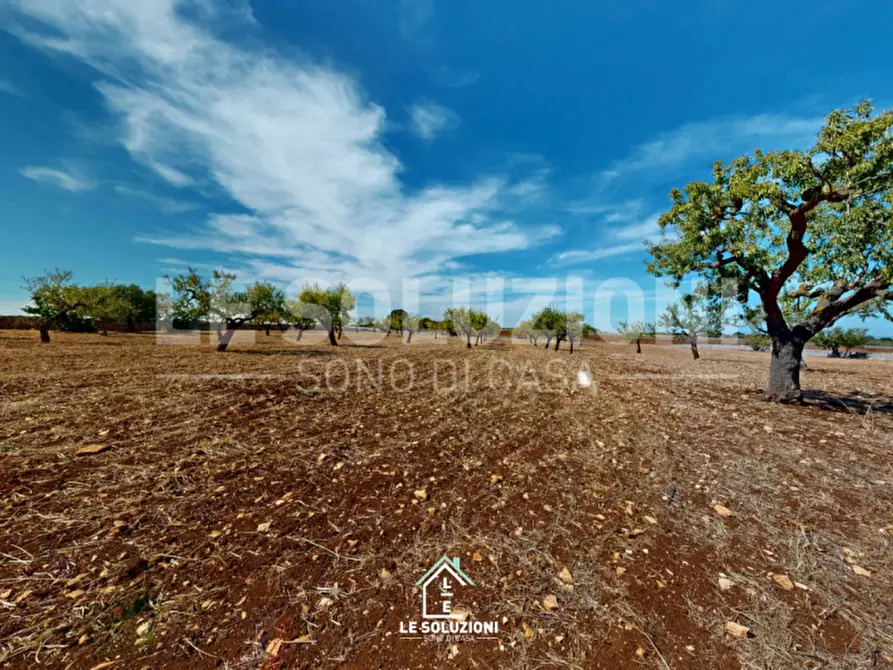 Immagine 39 di Villa in vendita  in CONTRADA MINOIA CASTELLANA TURI 1 a Conversano