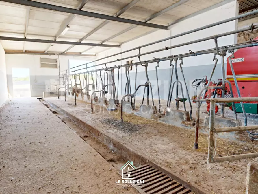 Immagine 44 di Villa in vendita  in CONTRADA MINOIA CASTELLANA TURI 1 a Conversano