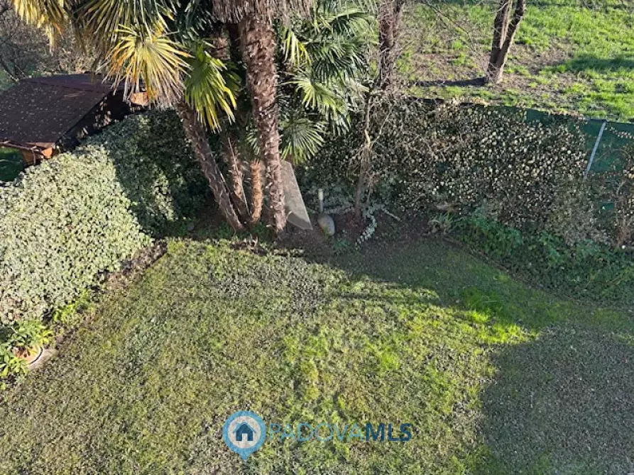 Immagine 7 di Casa bifamiliare in vendita  a Vigodarzere