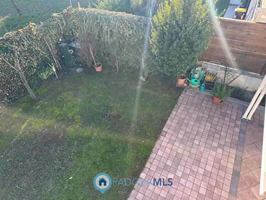 Immagine 8 di Casa bifamiliare in vendita  a Vigodarzere