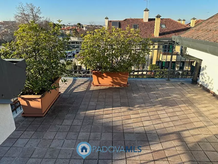 Immagine 22 di Casa bifamiliare in vendita  a Vigodarzere