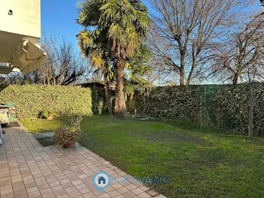 Immagine 44 di Casa bifamiliare in vendita  a Vigodarzere