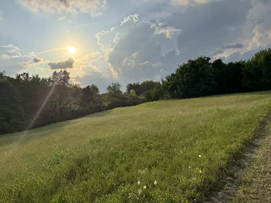 Immagine 2 di Rustico / casale in vendita  in Thiene Via po a Thiene