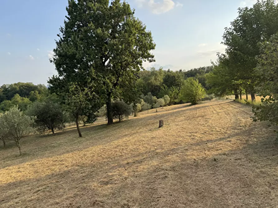 Immagine 3 di Rustico / casale in vendita  in Thiene Via po a Thiene