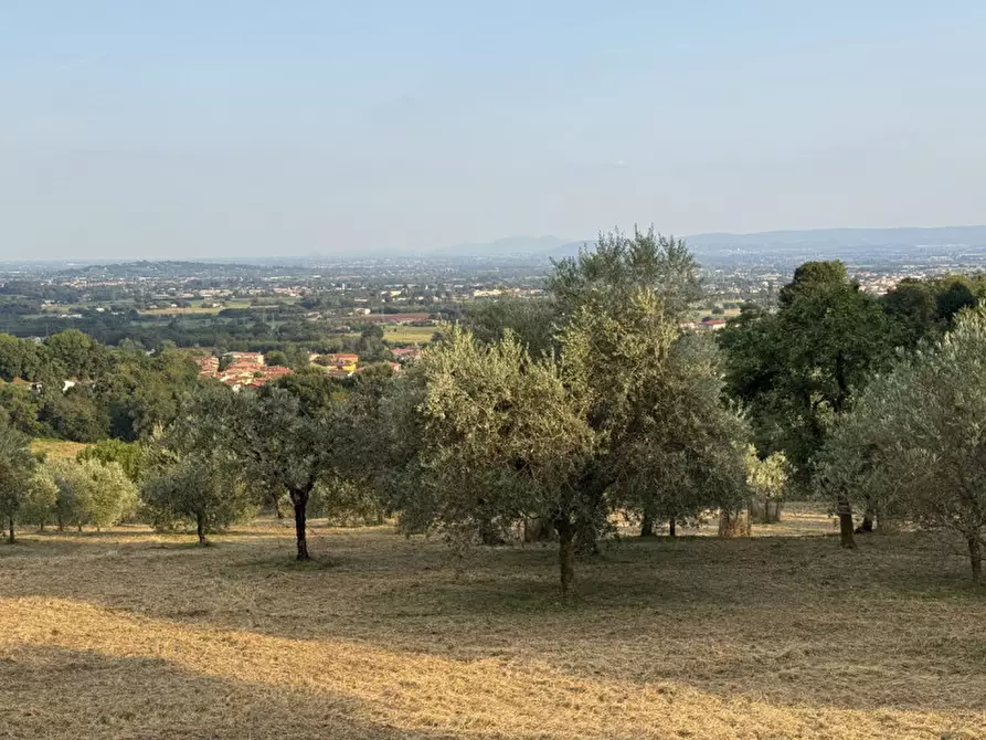 Immagine 23 di Rustico / casale in vendita  in Thiene Via po a Thiene