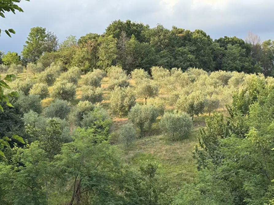 Immagine 24 di Rustico / casale in vendita  in Thiene Via po a Thiene