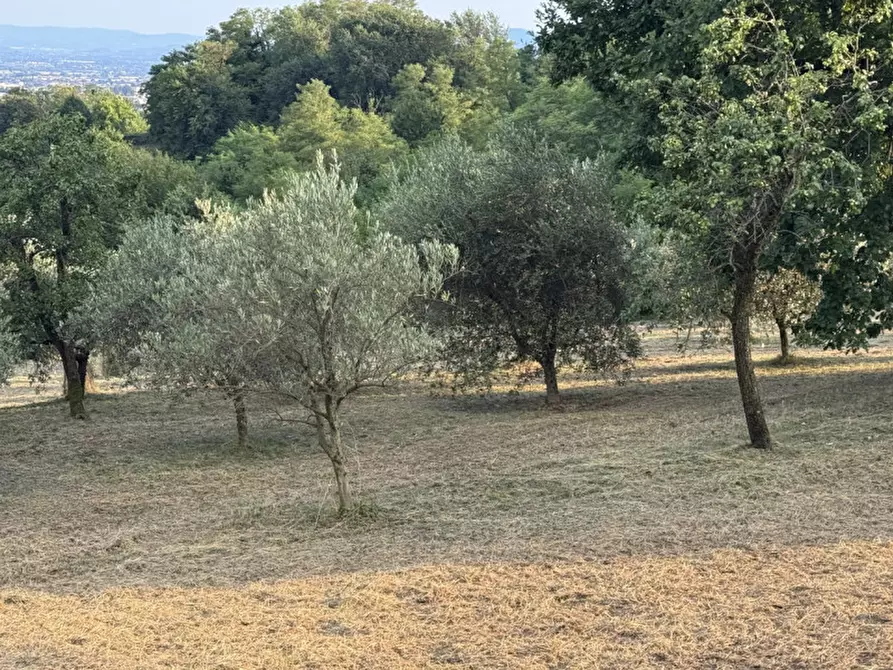 Immagine 25 di Rustico / casale in vendita  in Thiene Via po a Thiene