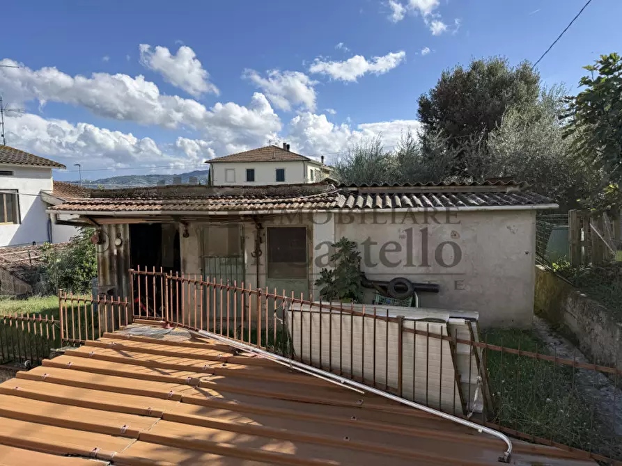 Immagine 25 di Casa indipendente in vendita  in pineta a Castiglione Del Lago