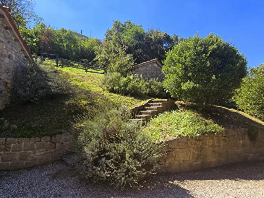 Immagine 3 di Rustico / casale in vendita  in via dietro cero a Baone