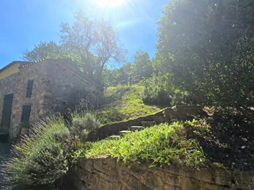 Immagine 4 di Rustico / casale in vendita  in via dietro cero a Baone