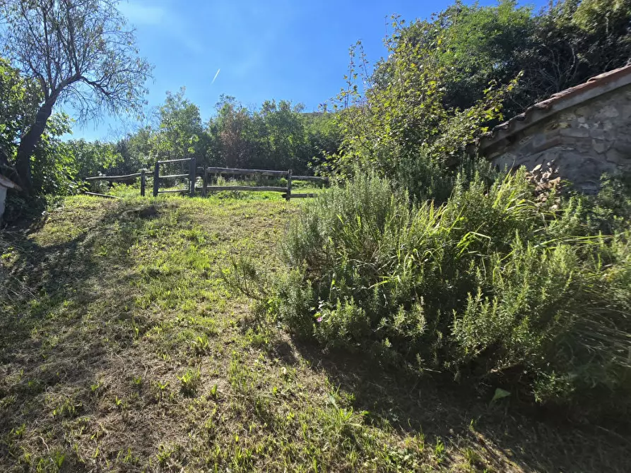 Immagine 5 di Rustico / casale in vendita  in via dietro cero a Baone